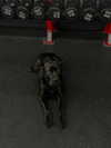 mckinley_1 Altpins Profile Picture