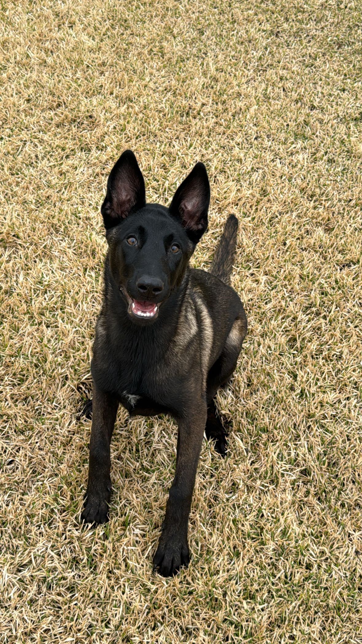 mckinley_1 snapchat image archive image