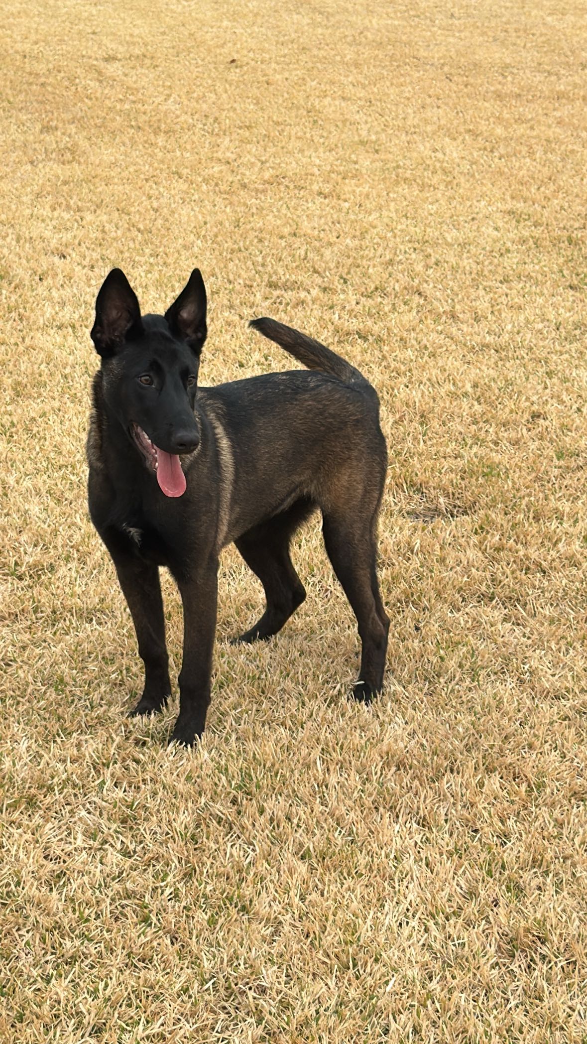 mckinley_1 snapchat image archive image