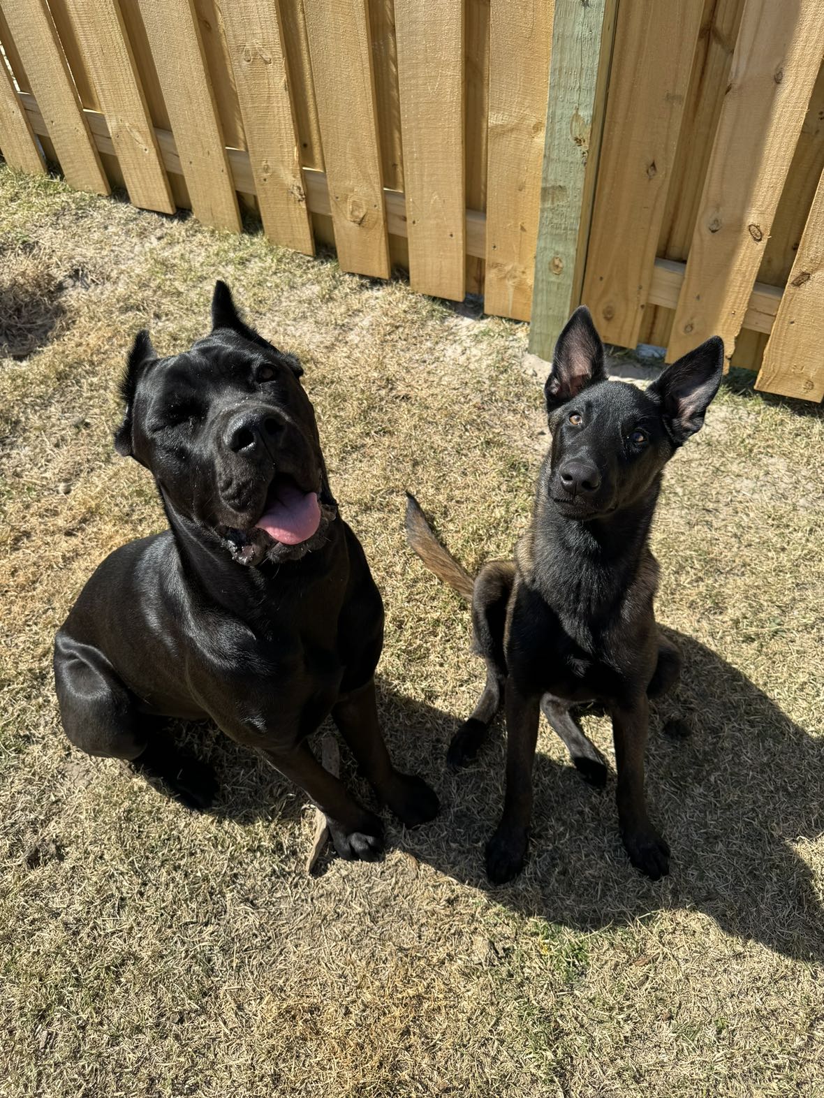 mckinley_1 snapchat image archive image