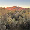 mckinley_1 Altpins Profile Picture