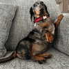 mckinley_1 Altpins Profile Picture