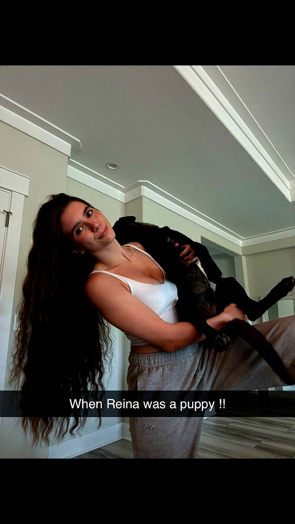 mckinley_1 image ~ Altpins