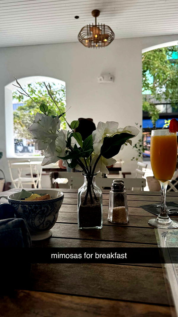 mckinley_1 image ~ Altpins