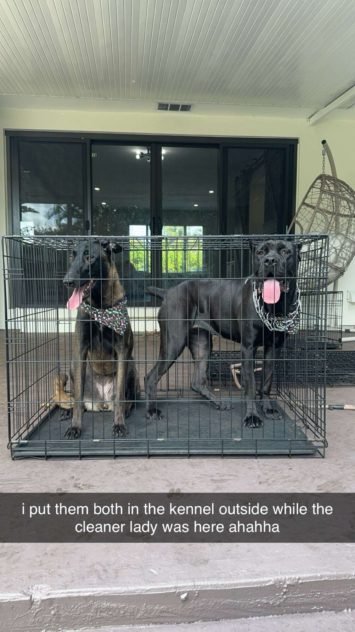 mckinley_1 snapchat image archive image