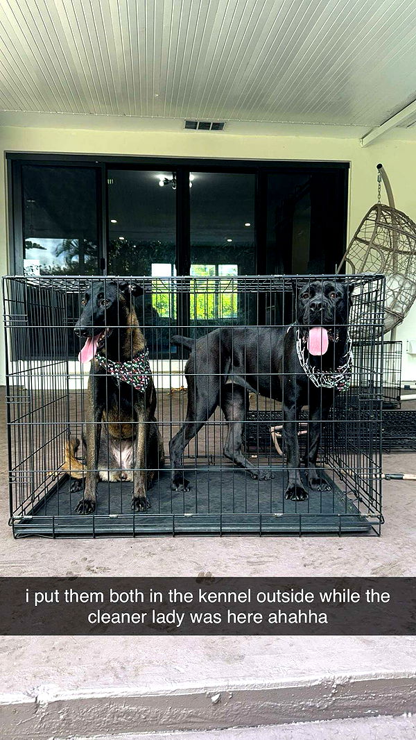 mckinley_1 image ~ Altpins