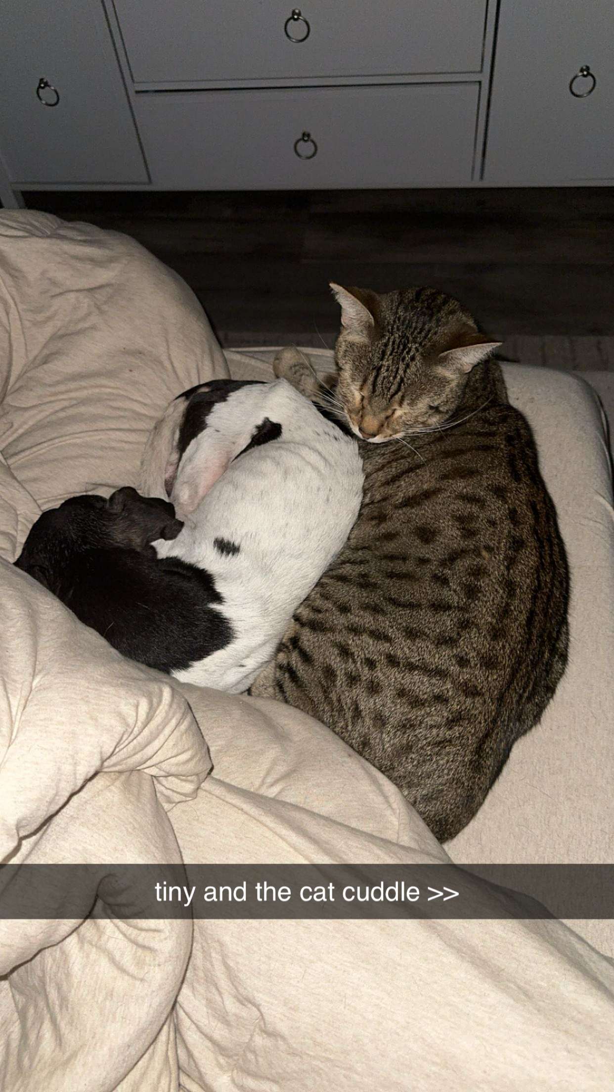 mckinley_1 snapchat image archive image