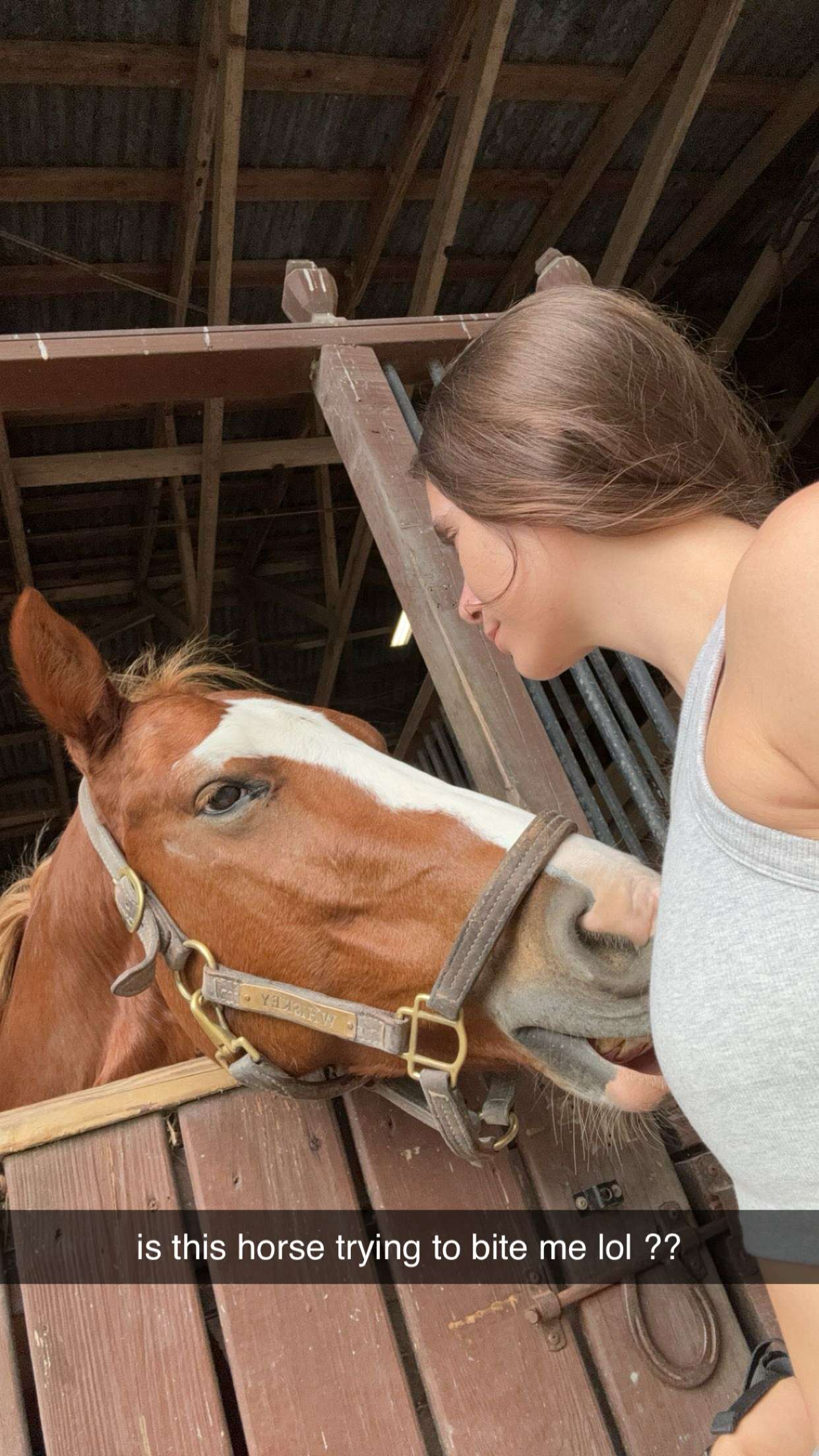 mckinley_1 snapchat image archive image