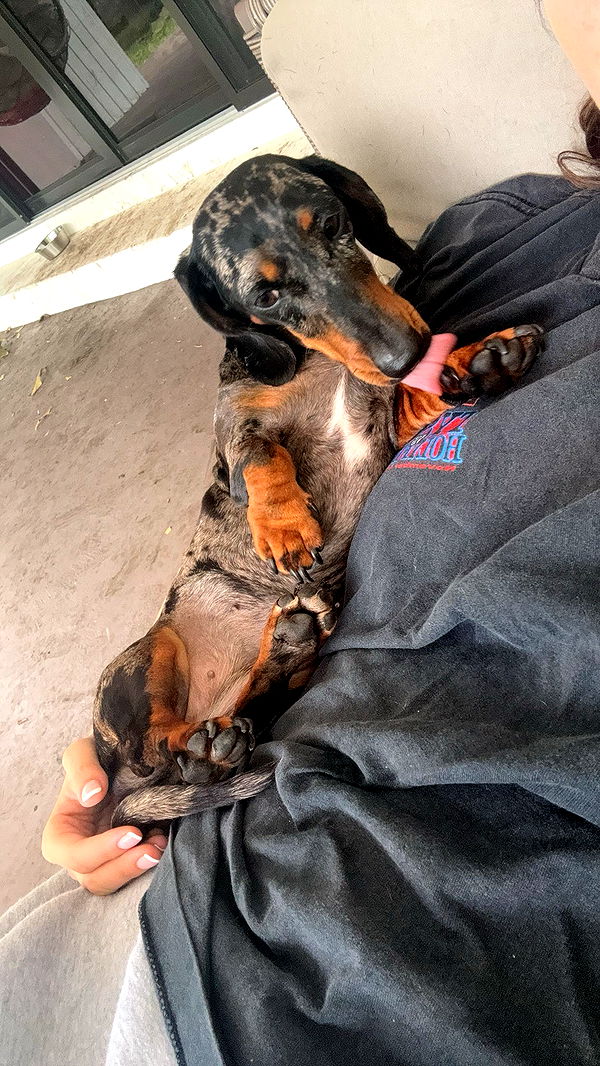 mckinley_1 image ~ Altpins