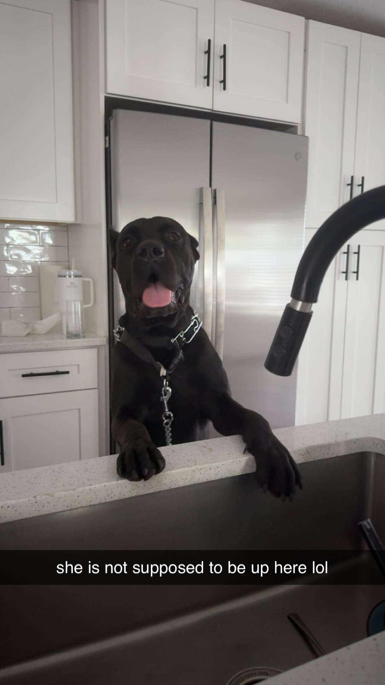 mckinley_1 snapchat image archive image