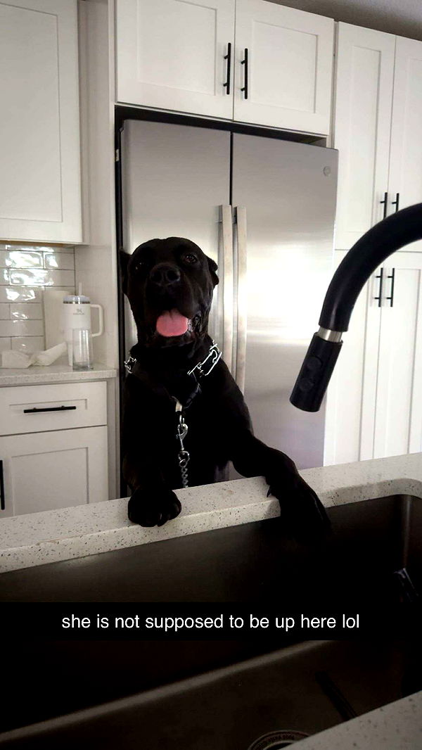 mckinley_1 image ~ Altpins