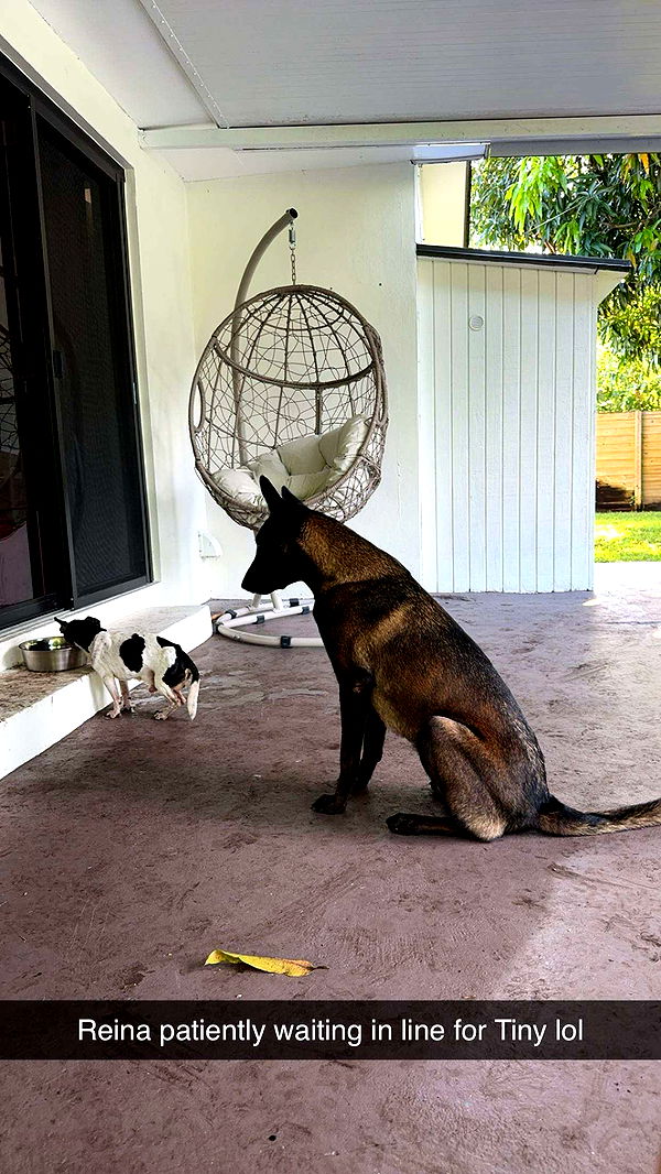 mckinley_1 image ~ Altpins