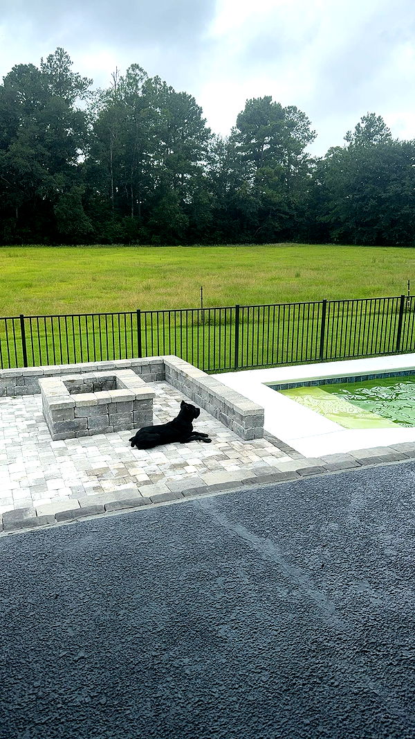 mckinley_1 image ~ Altpins