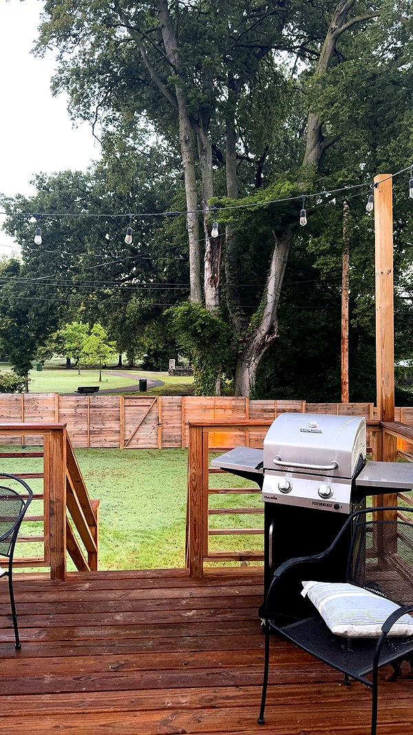 mckinley_1 image ~ Altpins