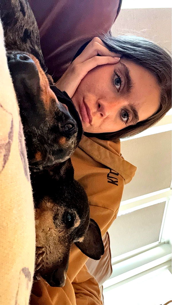 mckinley_1 image ~ Altpins