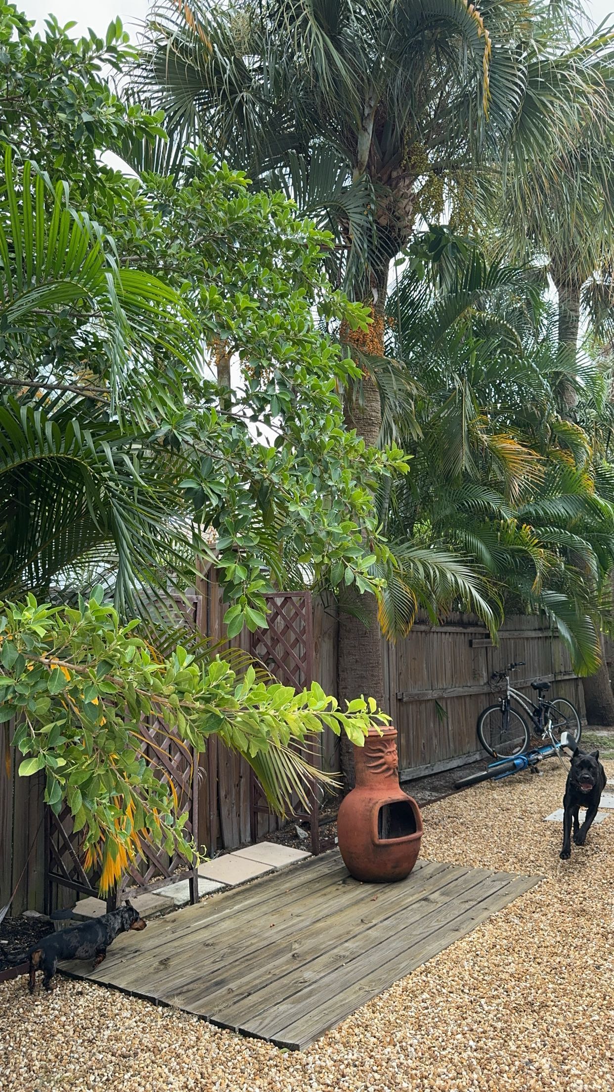 mckinley_1 snapchat image archive image