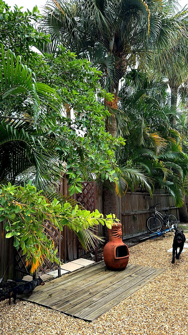 mckinley_1 image ~ Altpins