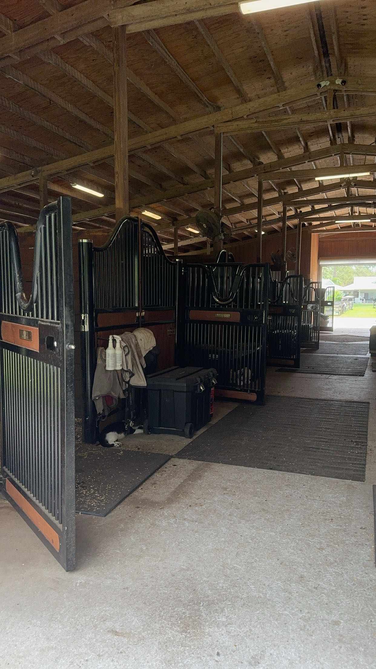 mckinley_1 snapchat image archive image