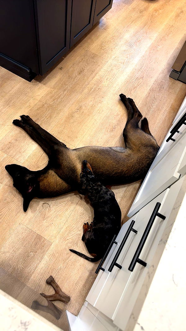 mckinley_1 image ~ Altpins