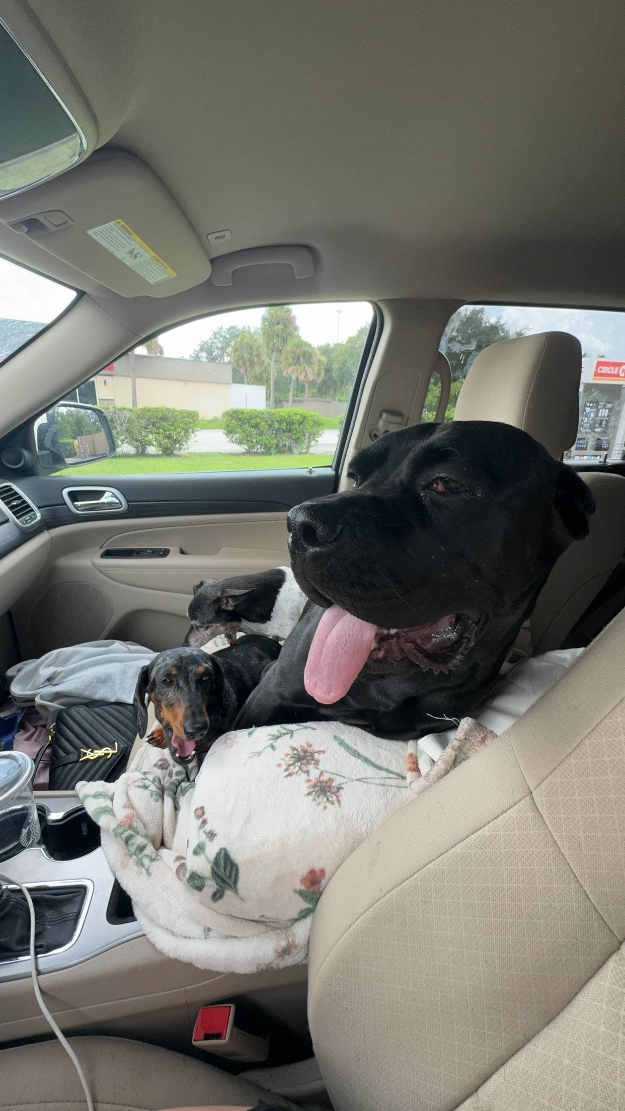 mckinley_1 snapchat image archive image