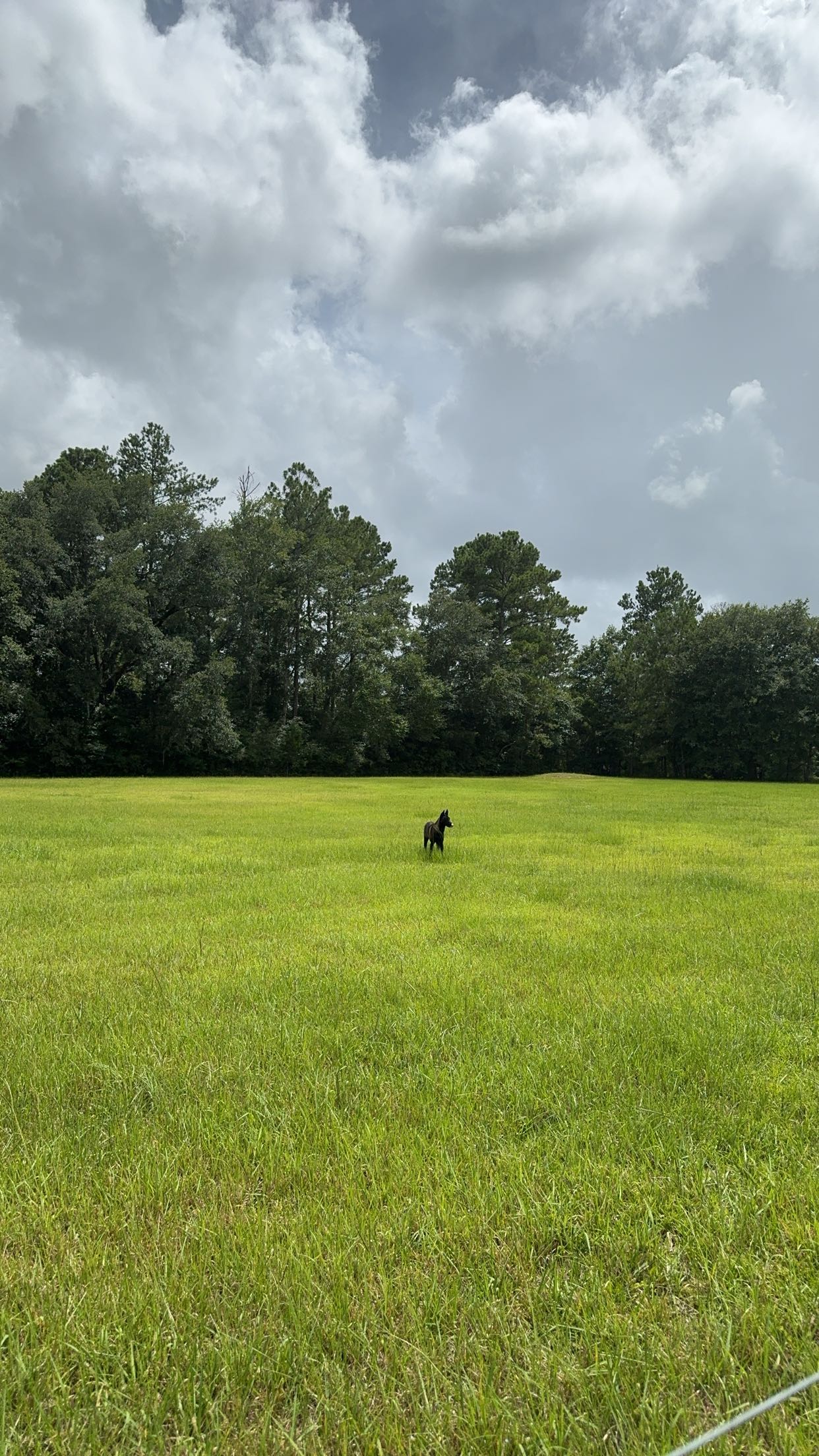 mckinley_1 snapchat image archive image