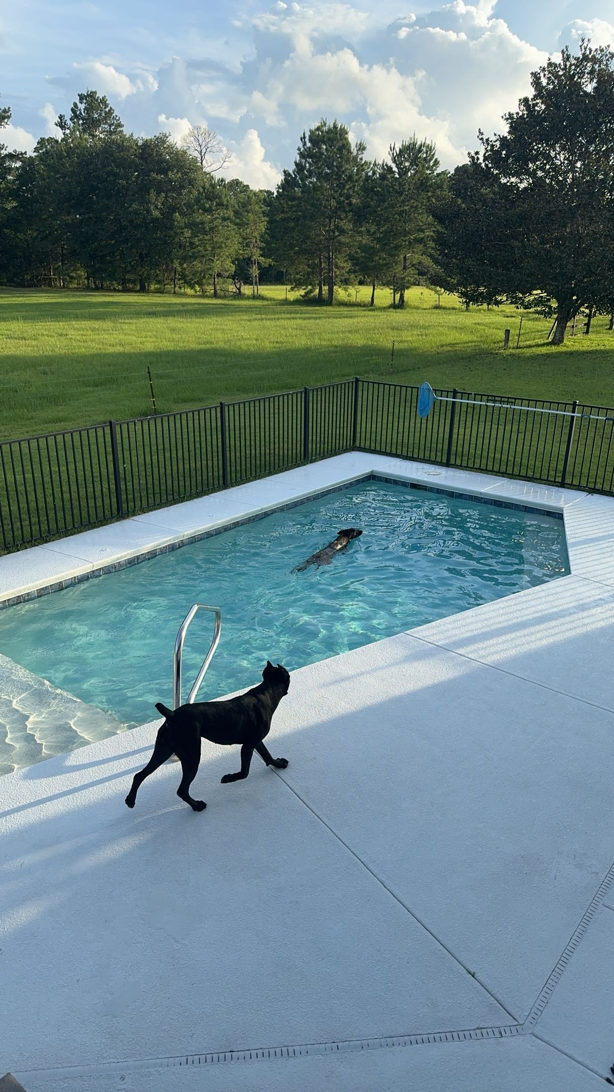 mckinley_1 snapchat image archive image