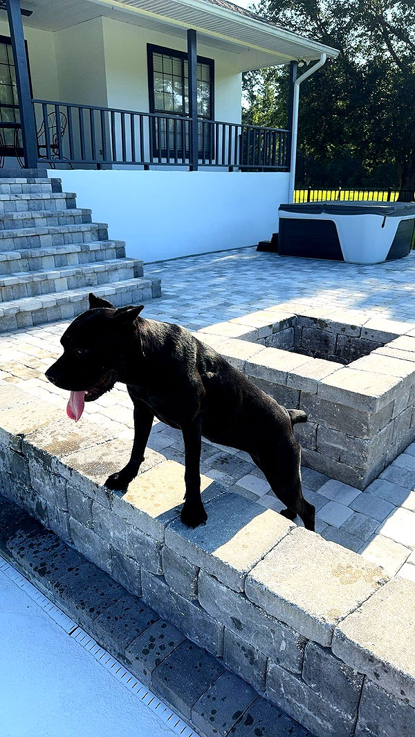 mckinley_1 image ~ Altpins