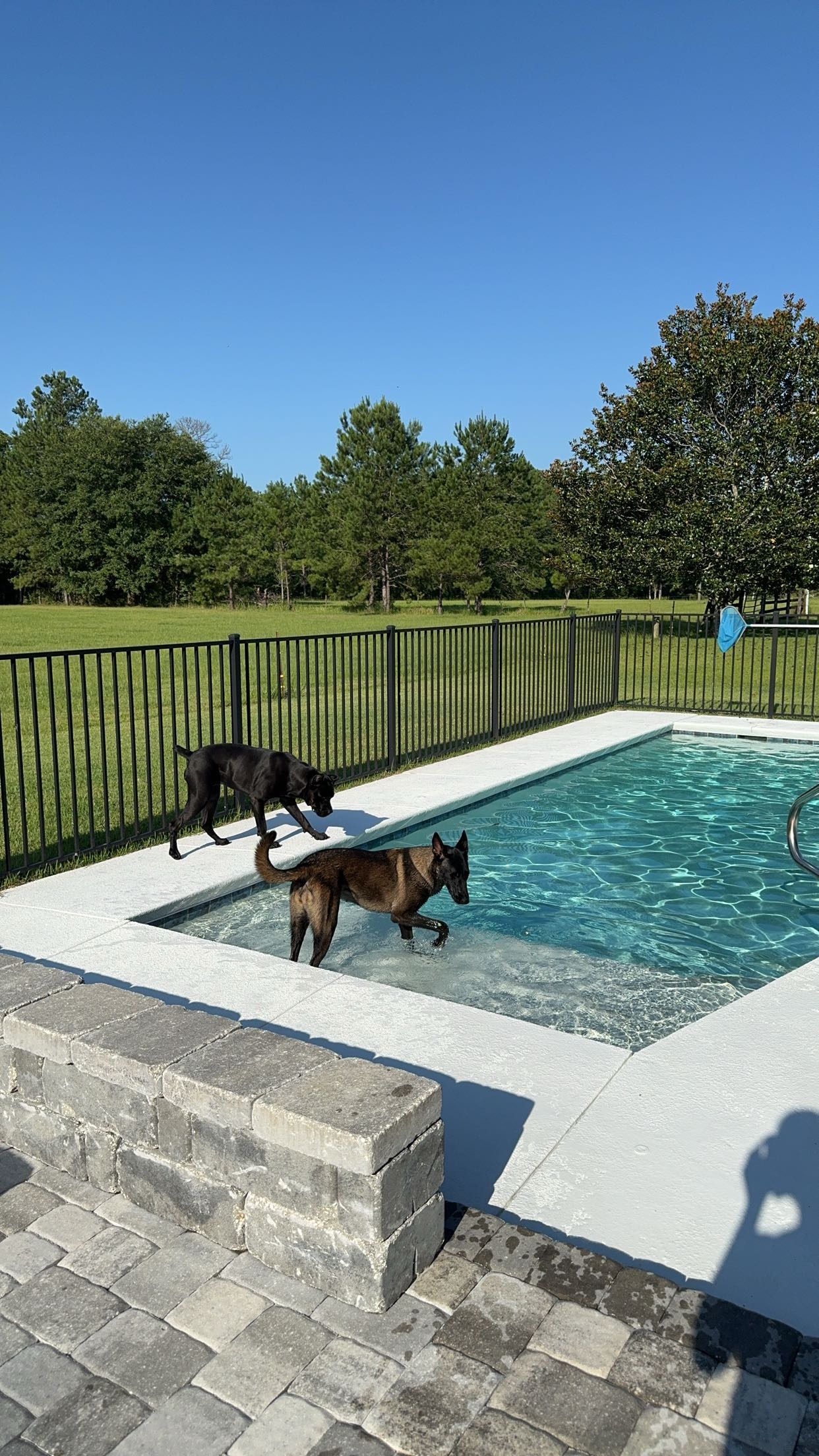 mckinley_1 snapchat image archive image