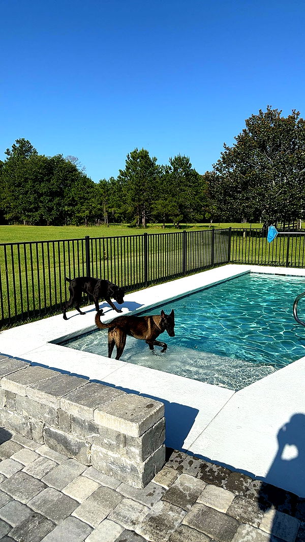 mckinley_1 image ~ Altpins