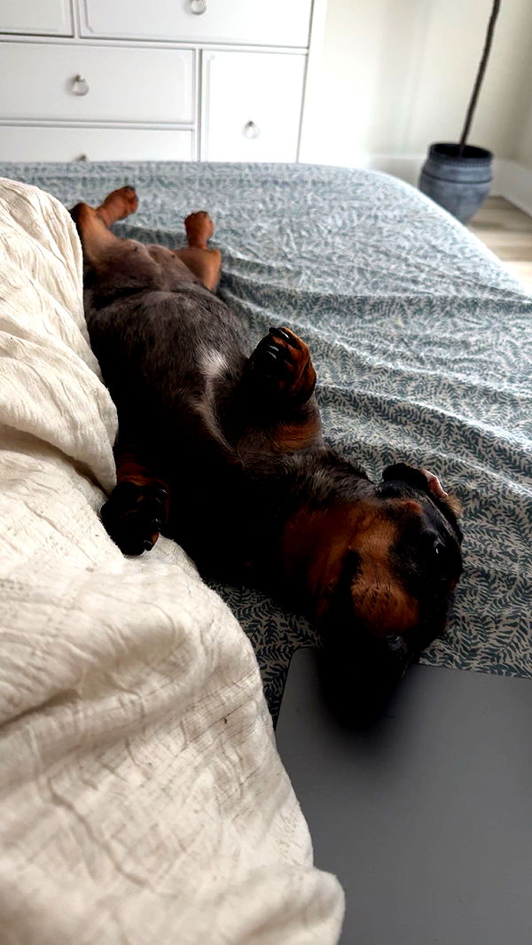 mckinley_1 image ~ Altpins