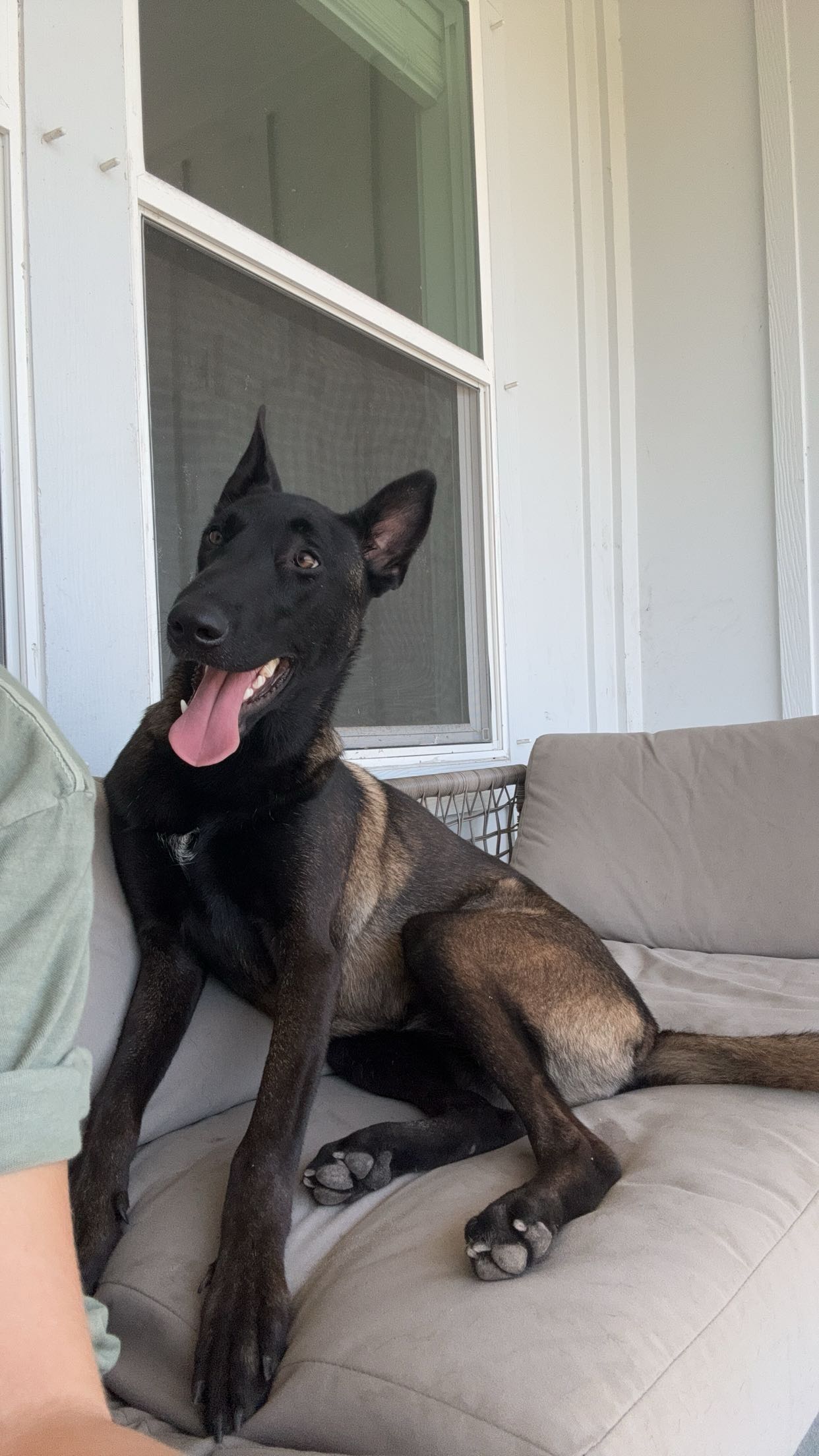 mckinley_1 snapchat image archive image