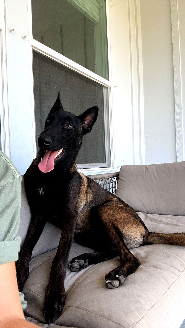 mckinley_1 image ~ Altpins