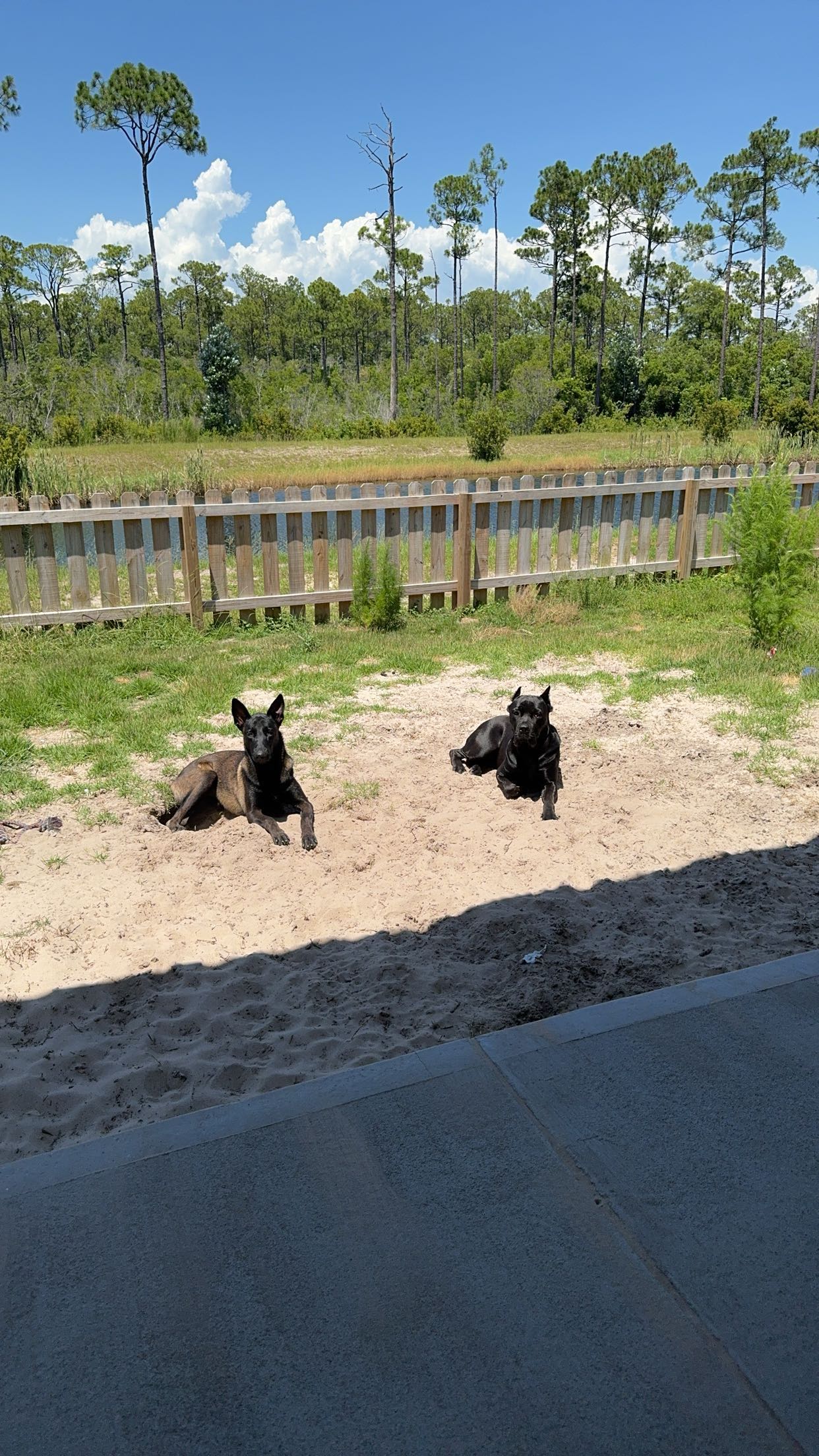 mckinley_1 snapchat image archive image