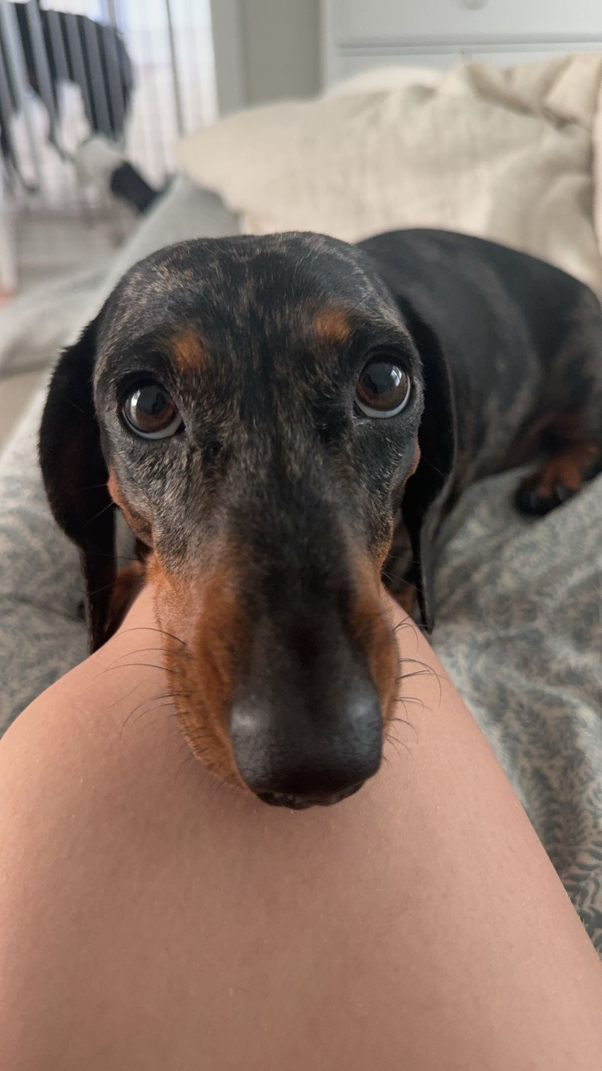 mckinley_1 snapchat image archive image