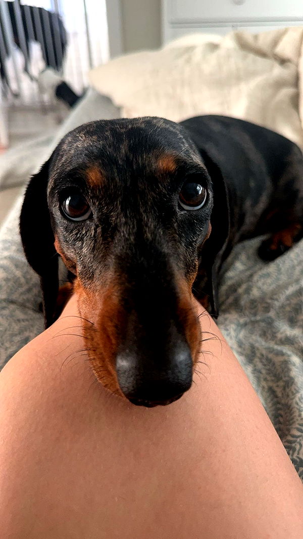 mckinley_1 image ~ Altpins