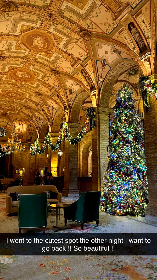 mckinley_1 image ~ Altpins