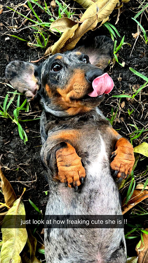 mckinley_1 image ~ Altpins