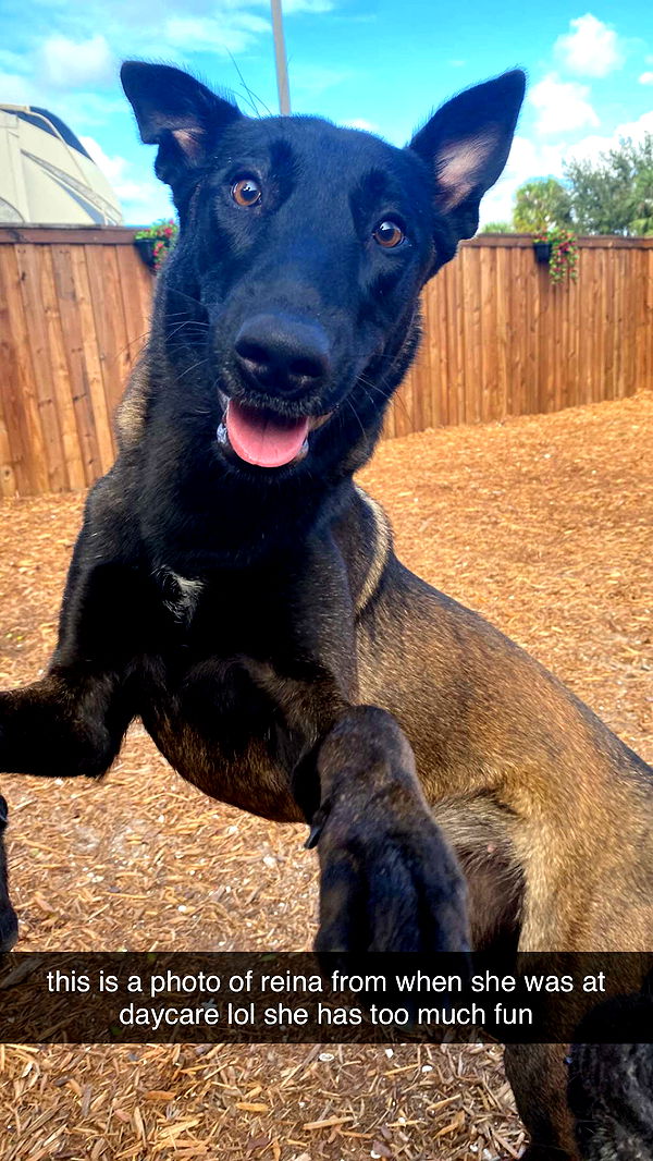 mckinley_1 image ~ Altpins