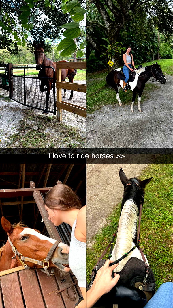 mckinley_1 image ~ Altpins