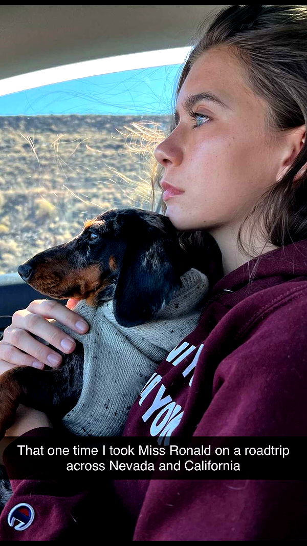 mckinley_1 image ~ Altpins