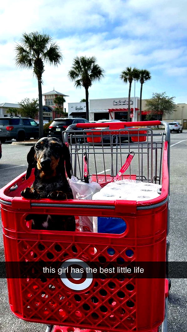 mckinley_1 image ~ Altpins