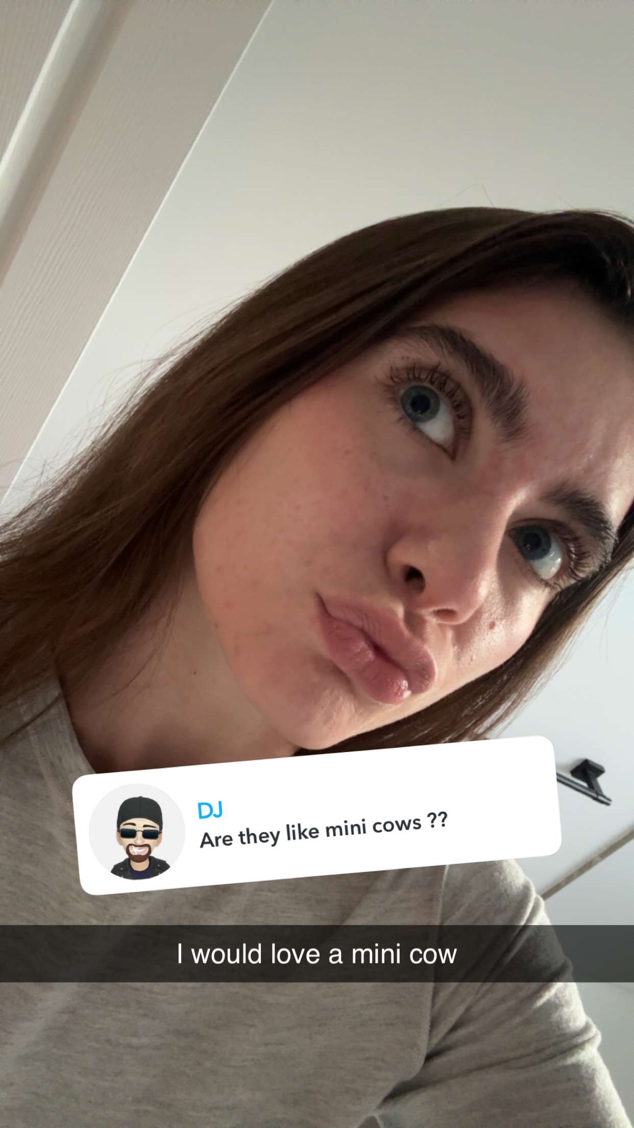 mckinley_1 snapchat image archive image