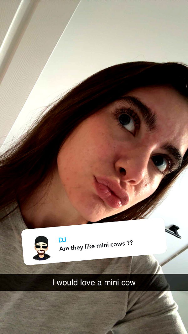 mckinley_1 image ~ Altpins