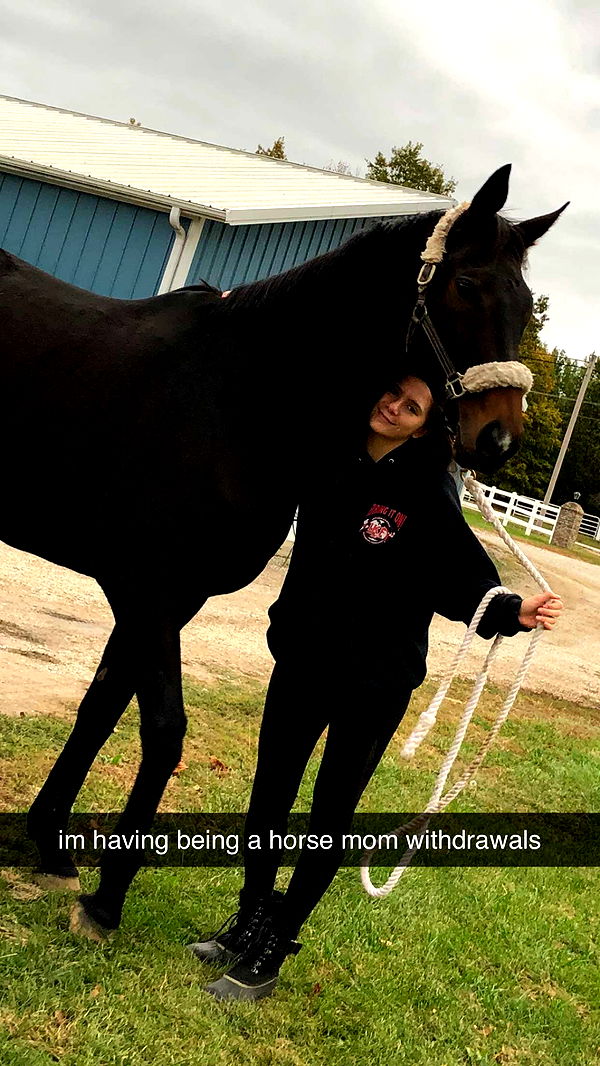 mckinley_1 image ~ Altpins