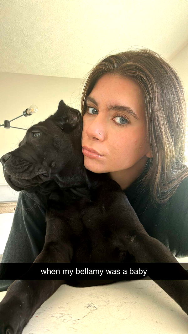 mckinley_1 image ~ Altpins