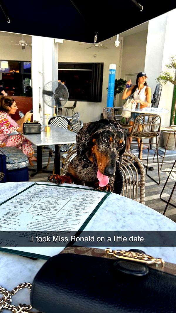 mckinley_1 image ~ Altpins