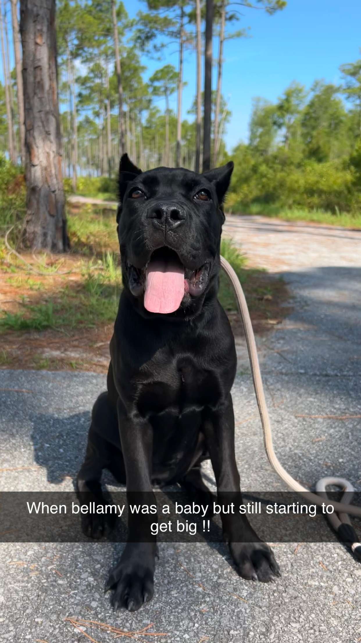 mckinley_1 snapchat image archive image