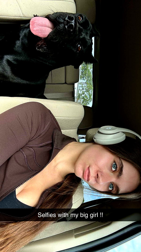 mckinley_1 image ~ Altpins