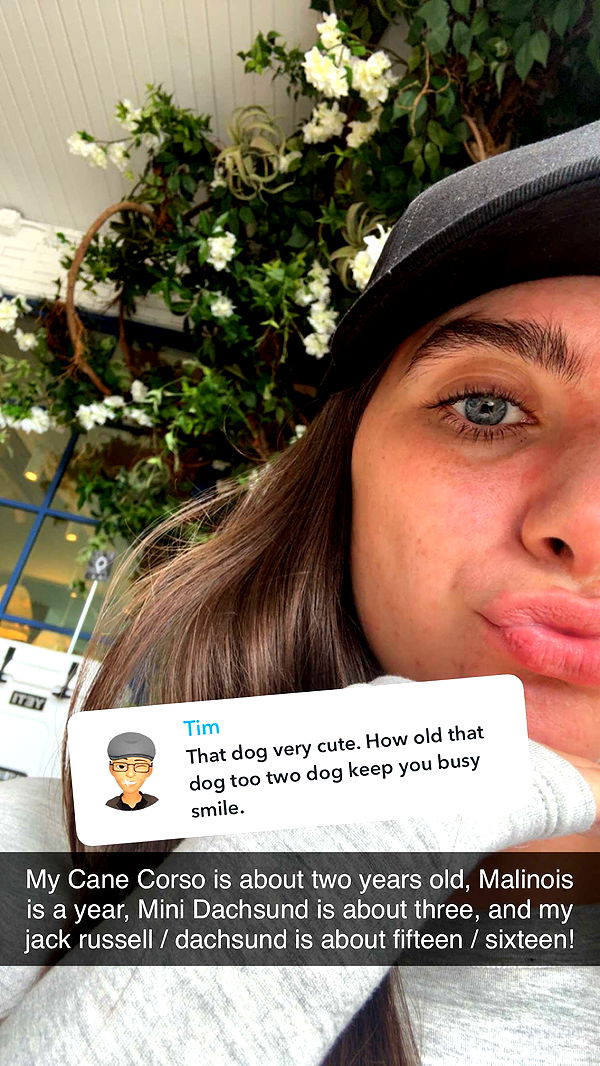 mckinley_1 image ~ Altpins