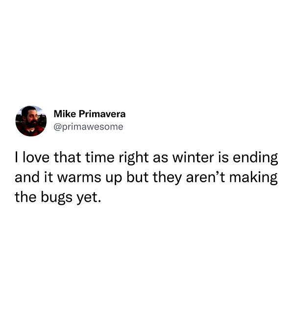 mckinley_1 image ~ Altpins